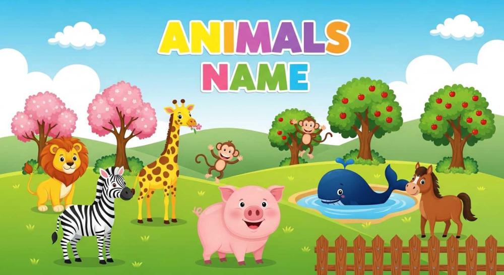 Animals Names